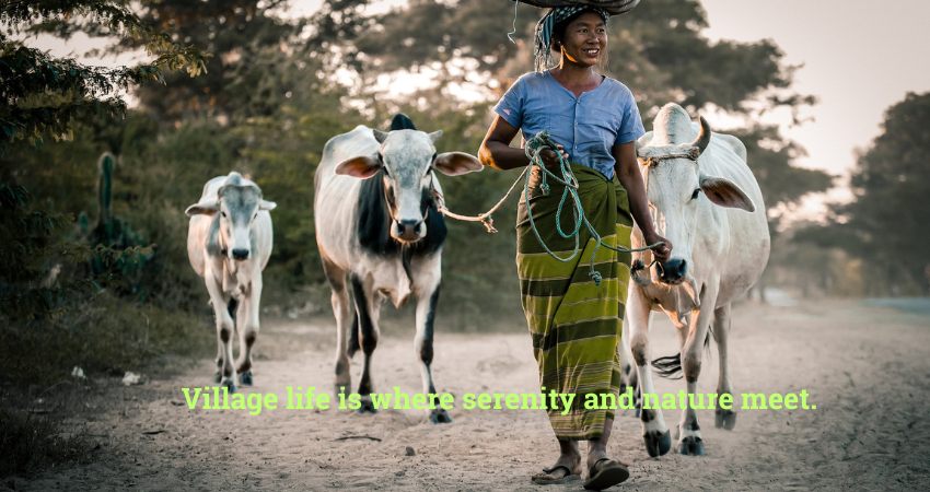 Village life